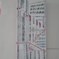 DSCN7252