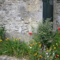 Flowers2